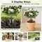 White Green Artificial Begonia Topiary Trees Silk Flowers 300 Leaves Outdoor Indoor Decorative Garden Plants With Metal Ground Spike